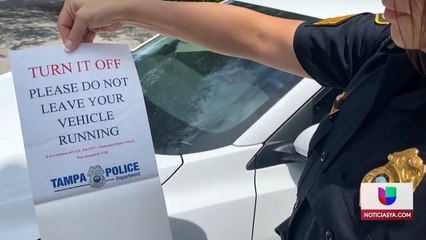 Ferretti-Autos encendidos Tampa