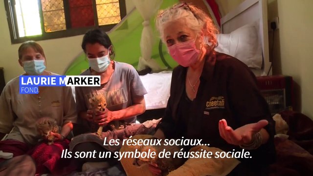 Dans la Corne de l'Afrique, le Somaliland, plaque-tournante du trafic de bébés guépards