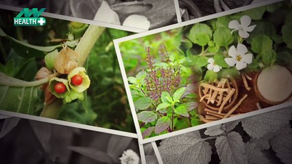 Ayurveda: जड़ी-बूटियां जो तनाव और चिंता से लड़ने में आपकी मदद करती हैं