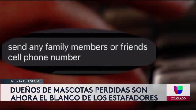 Dueños de mascotas perdidas son ahora el blanco de los estafadores