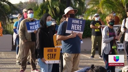Ferretti-Reacciones inmigrantes