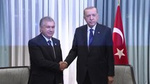 Cumhurbaşkanı Erdoğan, Özbekistan Cumhurbaşkanı Şevket Mirziyoyev ile görüştü