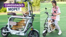[CH] Mopet, la moto eléctrica para pasear con tu mascota