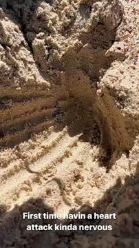 Crab Narrowly Escapes Home Invader