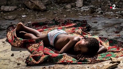 Photo hebdo : une rivière sacrée, la plus belle photo de l'année et des ours polaires