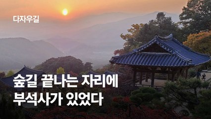 숲길 끝나는 자리에 부석사가 있었다(영상)