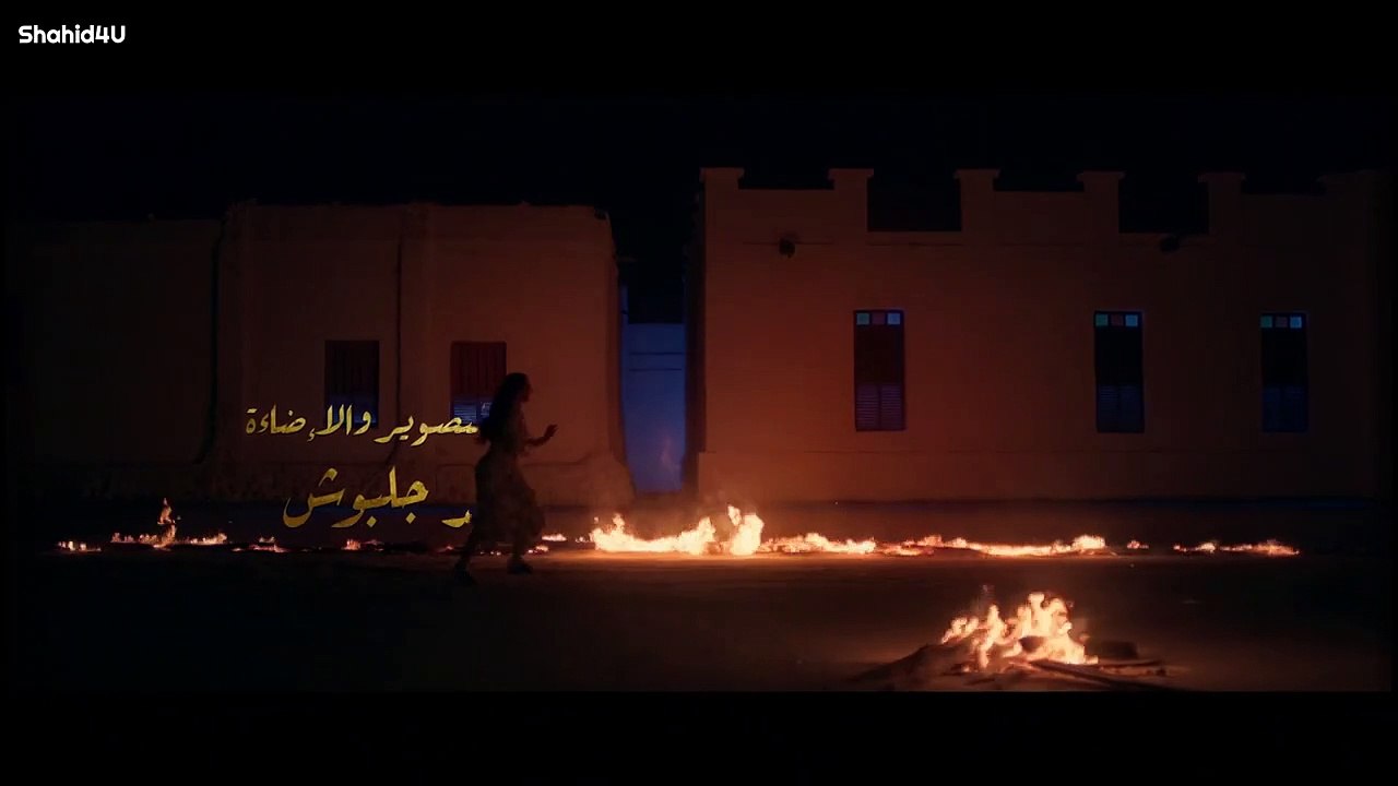 VID_208 =1