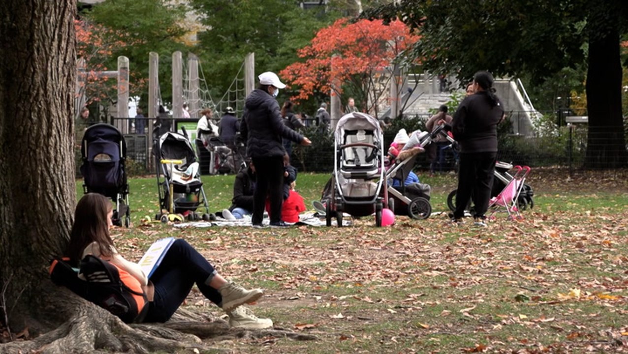 Pandemic increased need for research on how nature boosts health