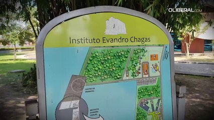 Instituto Evandro Chagas completa 85 anos de ciência