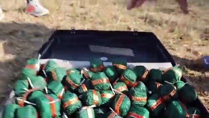 green VIP sutli bomb vs vip suitcase