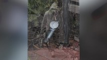 FBI revela video del hombre que llevaba las bombas caseras en las cercanías del Capitolio, en DC, el pasado 6 de enero
