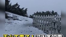 玉山下雪了！迎入冬初雪  積雪2公分成銀白仙境