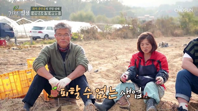 근감소증과 관절염으로 켜진 건강 적신호 TV CHOSUN 20211113 방송