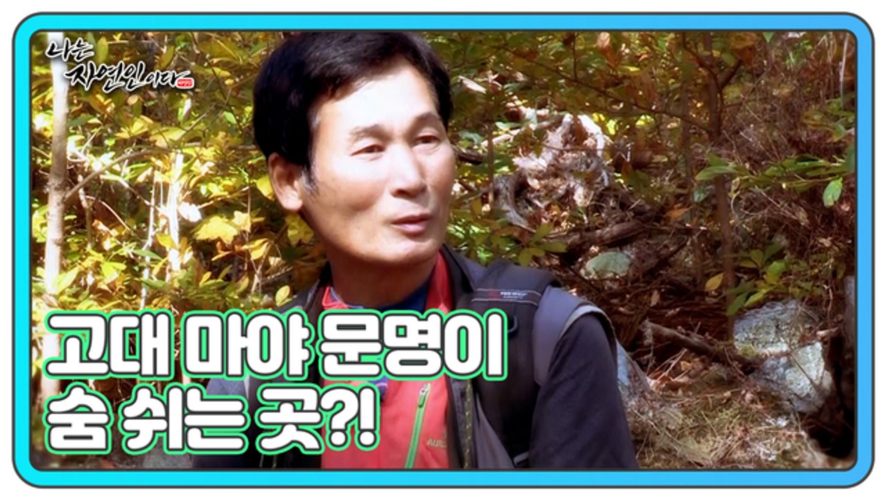 고대 마야 문명이 숨 쉬는 곳?! 순도 100% 리얼 야생 라이프!! 나는 자연인이다...