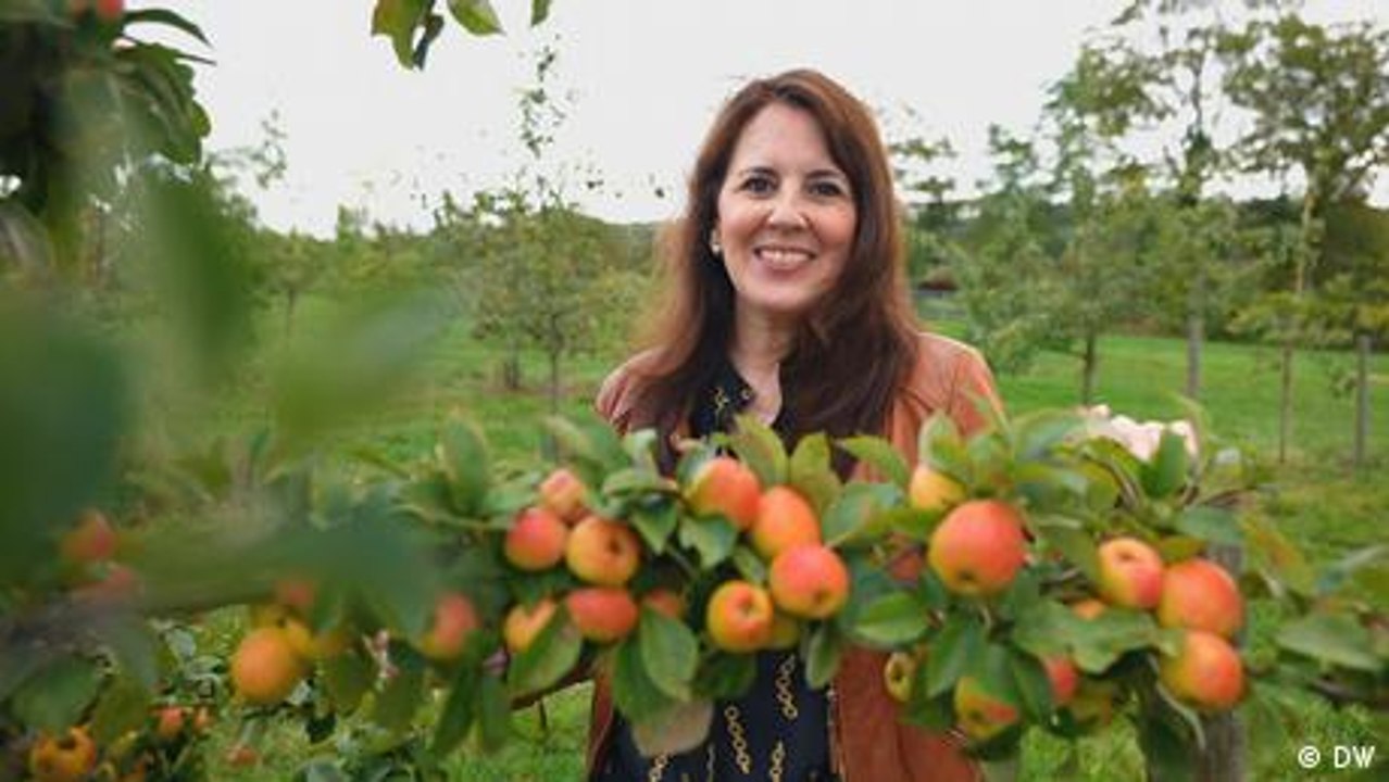 Alles aus Apfel: unterwegs auf der 'Route du Cidre'