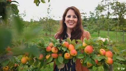 Alles aus Apfel: unterwegs auf der "Route du Cidre"