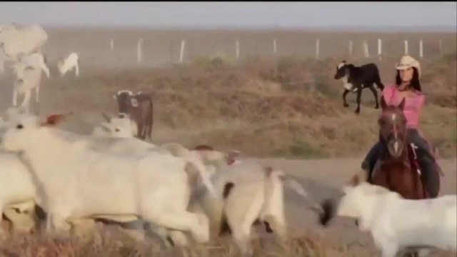 Despierta Orlando 021021 - Todo Colombia