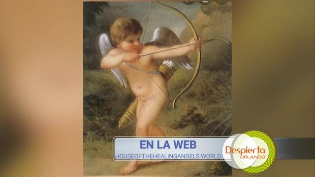 Despierta Orlando 021021 - Joyce Pagan