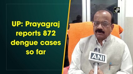Dengue cases rise to 872 in UP's Prayagraj