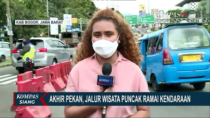Ingin Wisata ke Puncak di Akhir Pekan Ini? Lihat Kondisi Dulu!