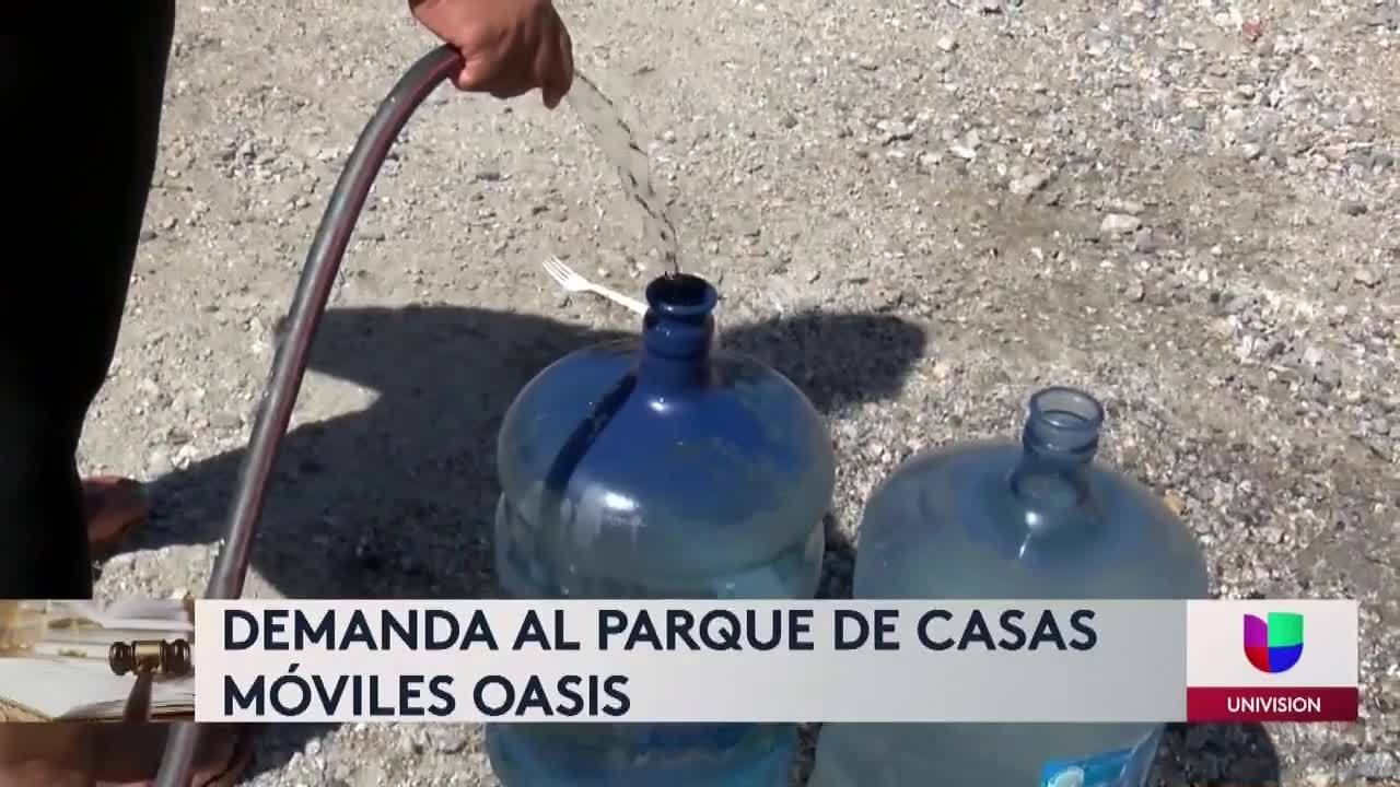oasis