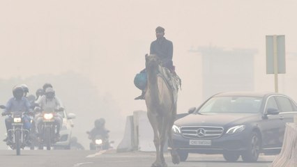Top News: Delhi wake up under blanket of smog