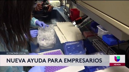 Noticias Univision Nevada 11pm - Martes, 26 de enero de 2021