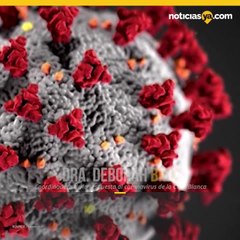 Expertos suplican a jovenes a quedarse en casa ante coronavirus