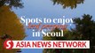 The Korea Herald | Leaf peeping spots in Seoul
