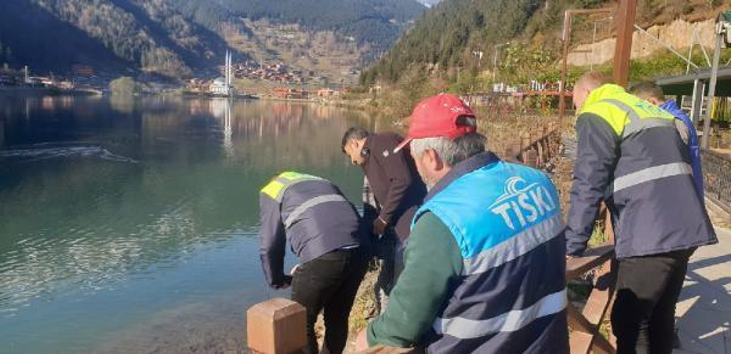 UZUNGÖL'DE KİRLİLİK TESPİT EDİLMEDİ; BALIK ÖLÜMLERİ, OKSİJEN YETERSİZLİĞİNDEN