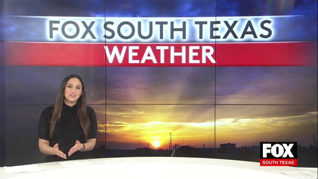 Fox McAllen news 9pm 010621