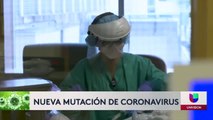 Confirman 32 casos de la nueva cepa de COVID-19 en San Diego