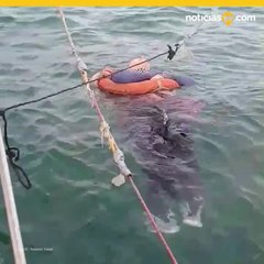 Mujer desaparecida por 2 años fue encontrada viva flotando en el mar