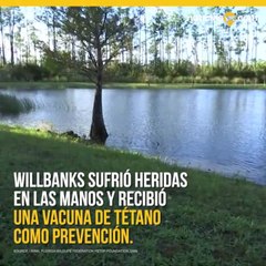 Hombre de Florida lucha con caimán para rescatar a su cachorro