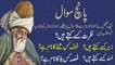 Five Wisdom Questions from Maulana Rome  Rumi Biography in UrduHindi  History of Rumi