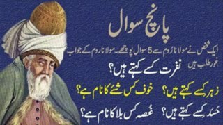 Five Wisdom Questions from Maulana Rome  Rumi Biography in UrduHindi  History of Rumi