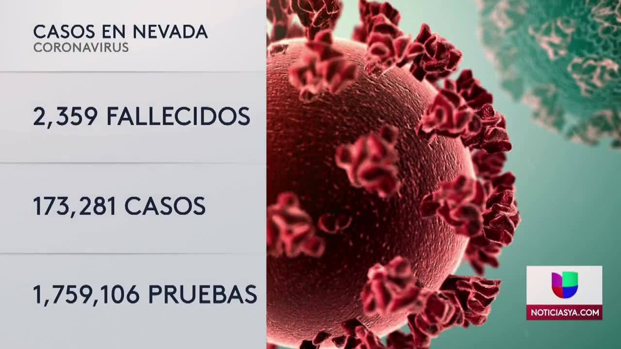 CASOS NV
