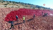 Araziye işlenen dev Türk bayrağı 20 günde boyandı