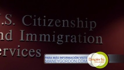 Despierta Orlando 122120 - Sheila Rodriguez Figueroa