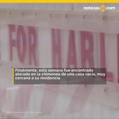 Encuentran cuerpo de adolescente desaparecido atorado en una chimenea