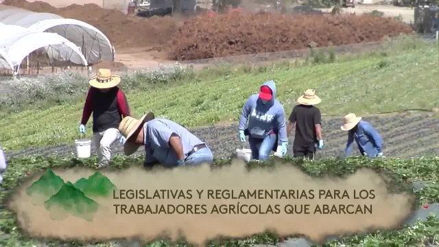 Noticias Costa Central 11pm 091620 - Clip CENSUS PATROCINIO 9/16