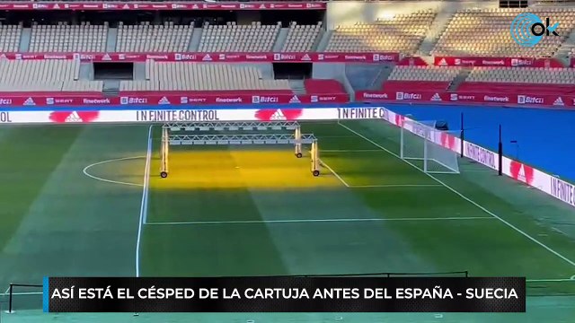 Así está el césped de La Cartuja antes del España - Suecia