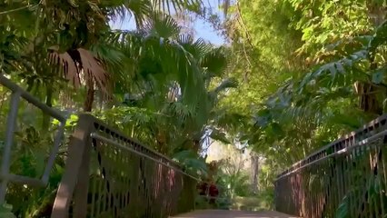 Edicion Digital Orlando 121520