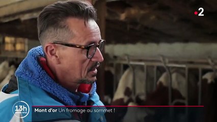 Le Mont d'Or, un des emblèmes culinaires du massif du Jura