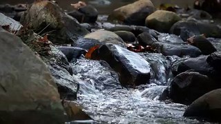 Fluir das águas pelas pedras