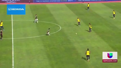 Noticias Tampa 6pm SPORT - Clip