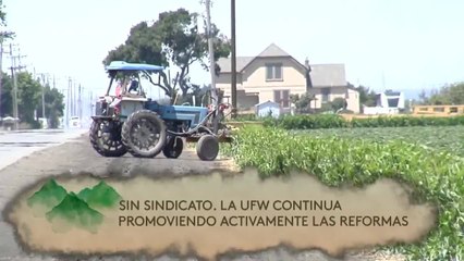 Noticias Costa Central 6pm 091620 - Clip