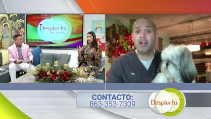 Despierta Orlando 120420 - Logan y Alex