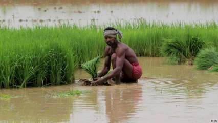 نظام جديد لتوقعات الطقس من أجل محاصيل أفضل في الهند