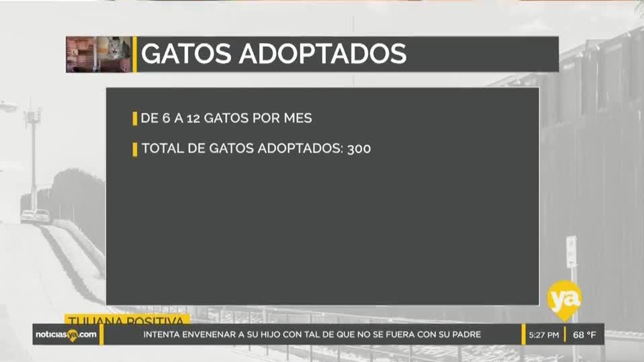 Tijuana Positiva - 13 de octubre